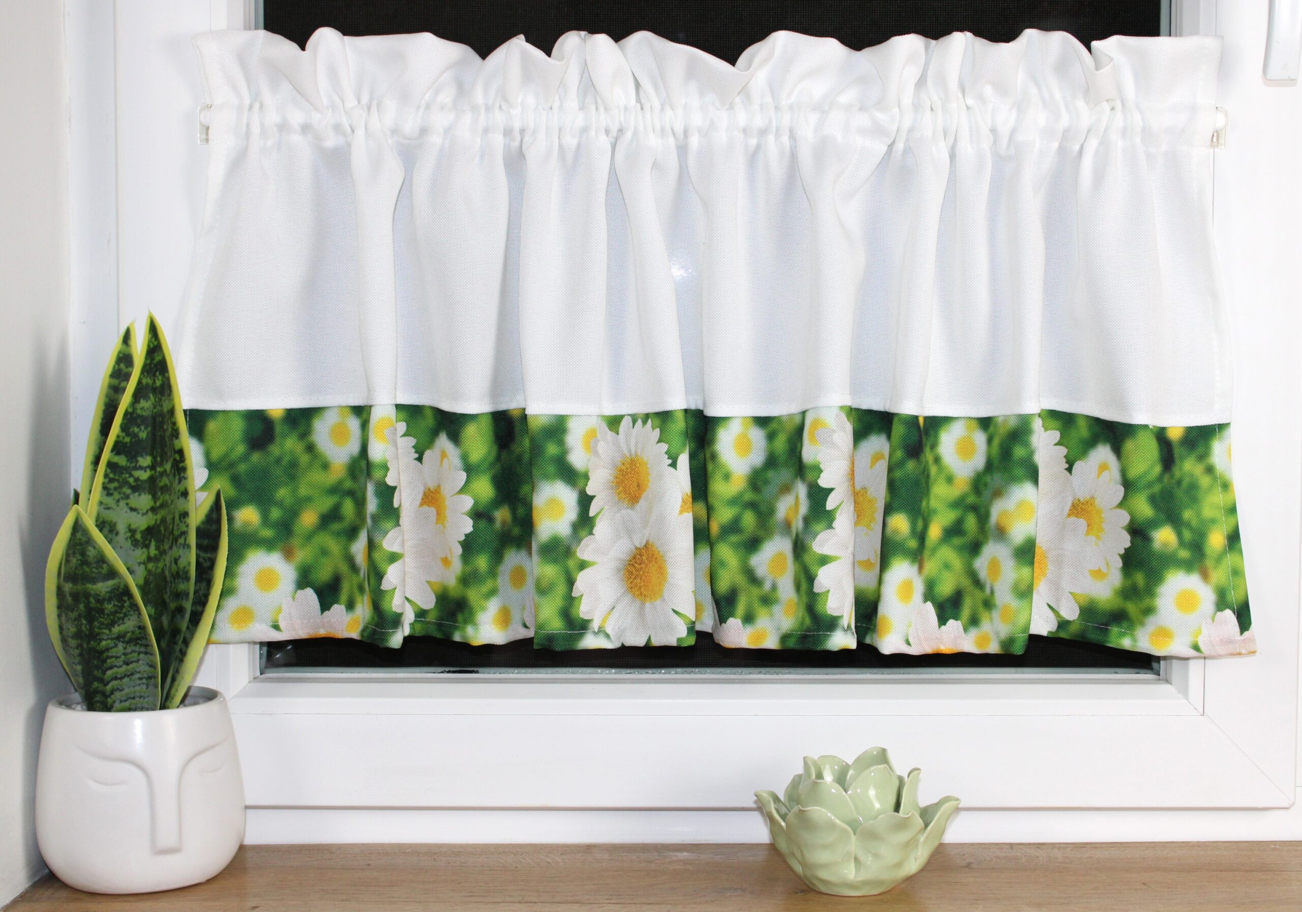 Zazdrostka dekoracyjna biała w stokrotki